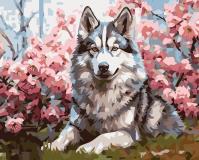 Opakowanie Malowanie po numerach 40x50 Pies