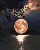 Malowanie po numerach 40x50cm. Wydawca: Tobby. SmakLiter.pl Opakowanie Malowanie po numerach 40x50cm