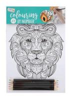 Opakowanie Malowanie po numerach A4, 5 arkuszy z 5 kredkami