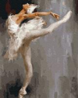 Opakowanie Malowanie po numerach  Biały łabędź