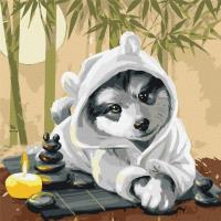 Opakowanie Malowanie po numerach - Czas na relaks 40x40cm