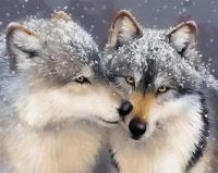 Opakowanie Malowanie po numerach Czułe wilki 40x50cm