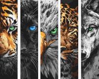 Opakowanie Malowanie po numerach - Drapieżniki 40x50cm