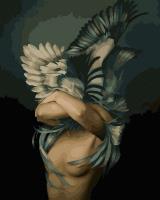 Opakowanie Malowanie po numerach Dziewczyna Ptak