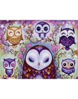 Opakowanie Malowanie po numerach - Fantastyczne sowy 40x50