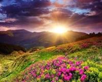 Opakowanie Malowanie po numerach Górska łąka