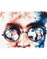 Opakowanie Malowanie po numerach - Harry 40x50cm