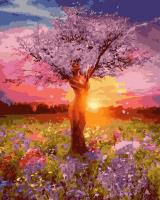 Opakowanie Malowanie po numerach  Inspiracja