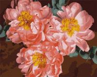 Opakowanie Malowanie po numerach - Inspiracje piwonii 40x50