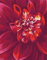 Malowanie po numerach - Jabłuszko 40x50cm. Wydawca: Ideyka. SmakLiter.pl Opakowanie Malowanie po numerach - Jabłuszko 40x50cm