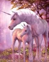 Opakowanie Malowanie po numerach Jednorożce klacz z źrebakiem