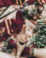 Opakowanie Malowanie po numerach - Kawa w Hogwarcie 40x50cm