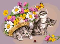 Opakowanie Malowanie po numerach  Kocięta w kwiatach