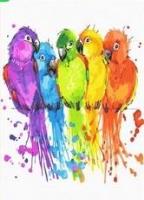 Opakowanie Malowanie po numerach - Kolorowe papugi 40x50cm