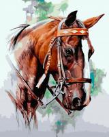 Opakowanie Malowanie po numerach Koń brązowy