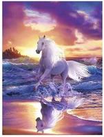 Opakowanie Malowanie po numerach Koń na plaży zachód słońca