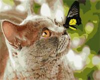 Opakowanie Malowanie po numerach - Kotek i motylek 40x50cm