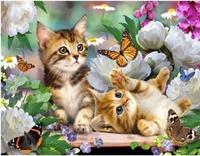 Opakowanie Malowanie po numerach  Kotki i motyle harce na leżąco