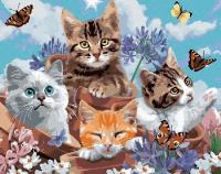 Opakowanie Malowanie po numerach Kotki z motylami w doniczkach