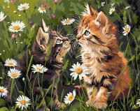 Opakowanie Malowanie po numerach - Koty w kwiatach 40x50cm