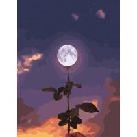 Opakowanie Malowanie po numerach - Księżycowy kwiat 40x50