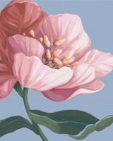 Opakowanie Malowanie po numerach Kwiaty