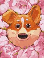 Malowanie po numerach - Kwitnące corgi 30x40cm. Wydawca: Ideyka. SmakLiter.pl Opakowanie Malowanie po numerach - Kwitnące corgi 30x40cm