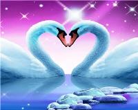 Opakowanie Malowanie po numerach Łabędzie serduszko w fiolecie