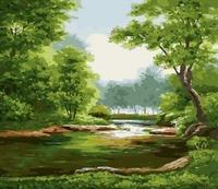 Opakowanie Malowanie po numerach Las zielony