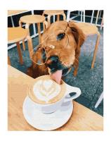 Opakowanie Malowanie po numerach Latte dla przyjaciela