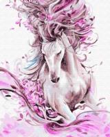 Opakowanie Malowanie po numerach - Magia 40x50cm