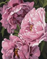 Opakowanie Malowanie po numerach - Magia kwiatów 40x50cm