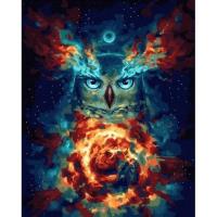 Opakowanie Malowanie po numerach - Magiczna Sowa 40x50cm