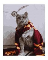 Opakowanie Malowanie po numerach - Magiczny kot 40x50cm