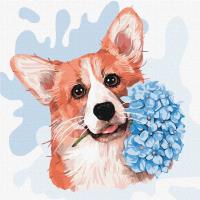 Malowanie po numerach - Mały corgi 30x30. Wydawca: Ideyka. SmakLiter.pl Opakowanie Malowanie po numerach - Mały corgi 30x30