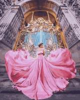 Opakowanie Malowanie po numerach - Mały Pałac Paryż 40x50cm