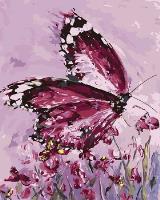 Opakowanie Malowanie po numerach Motyl fioletowy wśród kwiatów