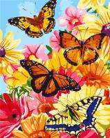 Opakowanie Malowanie po numerach - Motyle 30x40cm