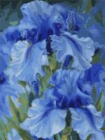 Malowanie po numerach - Niebieskie tęczówki 30x40. Wydawca: Ideyka. SmakLiter.pl Opakowanie Malowanie po numerach - Niebieskie tęczówki 30x40