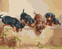 Opakowanie Malowanie po numerach - Nieoczekiwane.. 40x50cm