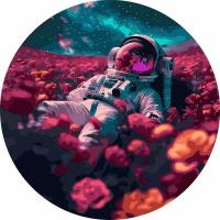 Opakowanie Malowanie po numerach okrągłe - Astronauta w polu