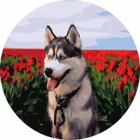 Opakowanie Malowanie po numerach okrągłe - Husky tulipany 40