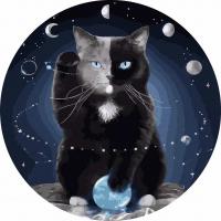 Opakowanie Malowanie po numerach okrągłe - Kot w kosmosie 40