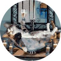 Opakowanie Malowanie po numerach okrągłe - Musujący kot 40cm