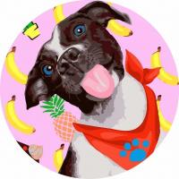 Opakowanie Malowanie po numerach okrągłe - Pies-uśmiech 40cm