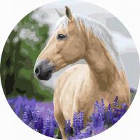 Opakowanie Malowanie po numerach owalne Koń w lawendzie