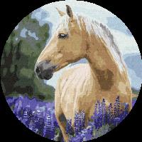 Opakowanie Malowanie po numerach owalne Koń w lawendzie