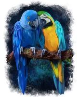 Opakowanie Malowanie po numerach Papugi przytulone niebieskie