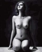 Opakowanie Malowanie po numerach - Piękno ciała 40x50cm