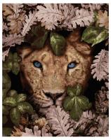 Opakowanie Malowanie po numerach - Piękno przyrody 40x50 cm